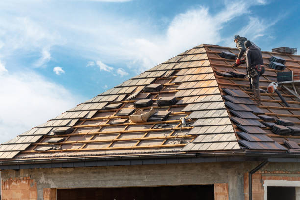Best Gutter Installation and Repair  in Robins Af, GA