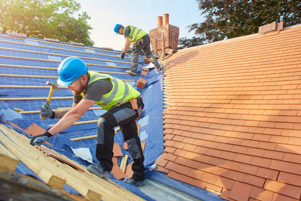 Best Chimney Flashing Repair  in Robins Af, GA